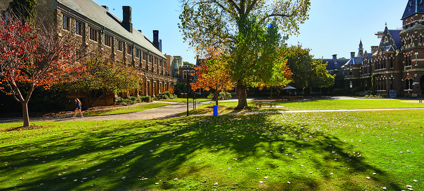 ƵappCollege grounds on a beautiful sunny day